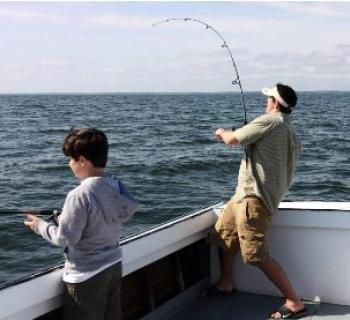 Photo Credit: Lisa Anne Charters Photo