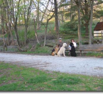 Gunpowder Falls State Park: Torrey C. Brown Rail Trail Photo