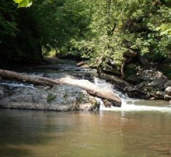 Gunpowder Falls State Park Photo