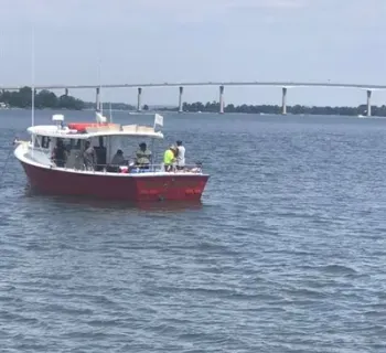 The Red Osprey Solomons Md Photo
