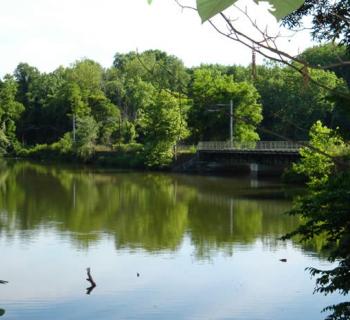 Lake Roland Park Photo