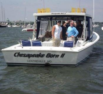Chesapeake Born II Photo