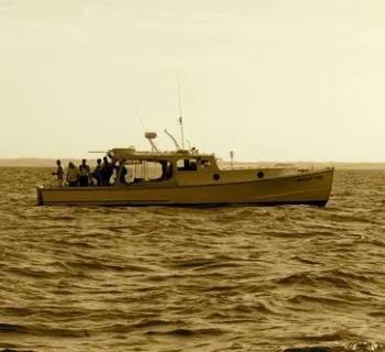 Breezin' Thru Charters Photo