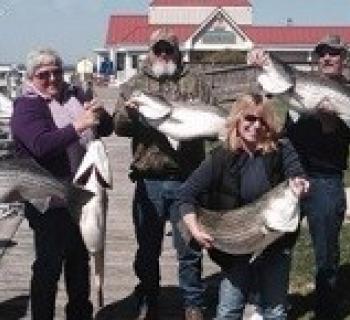 People holding up good looking fishes Photo