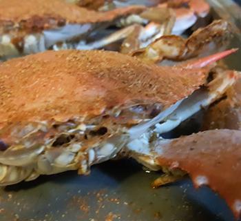 Crabs Photo
