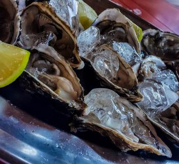 Oyster platter Photo