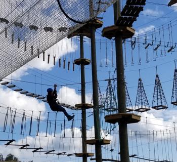 Obstacle at Monkey Business Adventure Park Photo