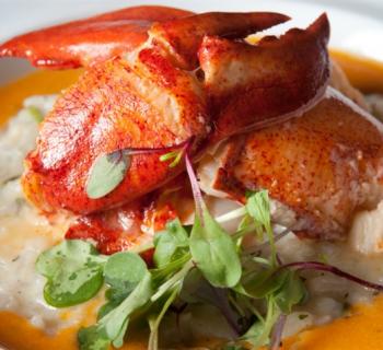 Crab Photo