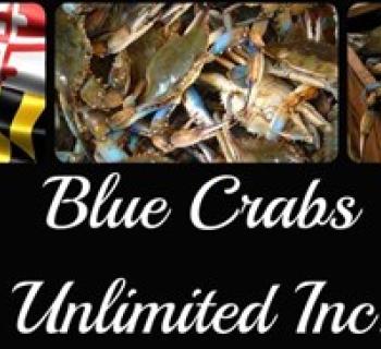 Blue Crabs Unlimited Inc logo Photo