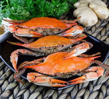Hard-shell crabs Photo
