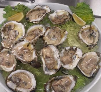 Oyster platter Photo