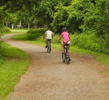 Trail at Terrapin Nature Park and Beach Photo