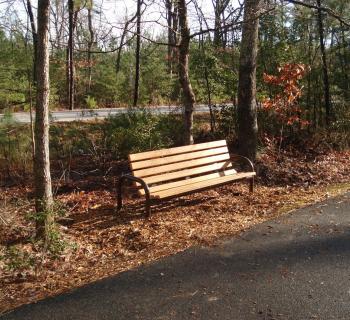 Bench on South Island Trail Photo