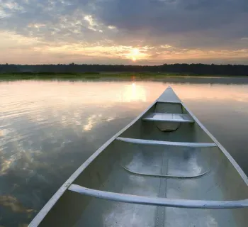 Jug Bay Natural Area  Photo