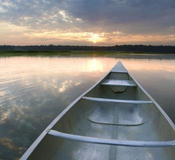 Jug Bay Natural Area  Photo