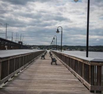 lower ferry park Photo