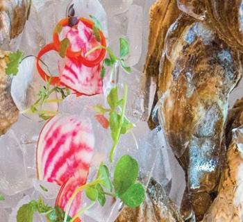 Oyster platter Photo