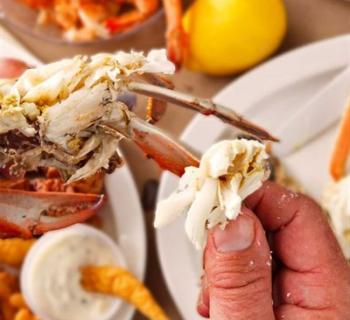 crab picking Photo