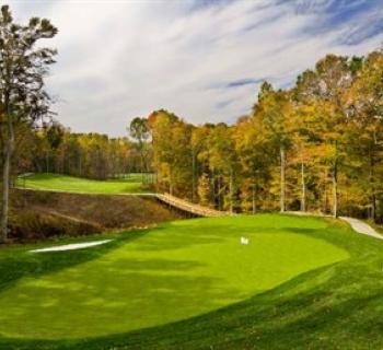 A green at Lake Presidential Golf Club Photo