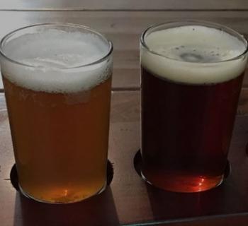 Beer in glasses Photo