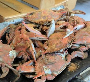 Crabs Photo