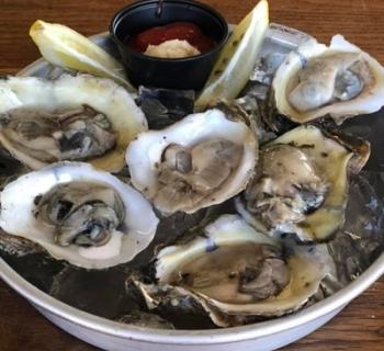 Oysters Photo