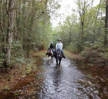 Hoof Prints Trail Center  Photo