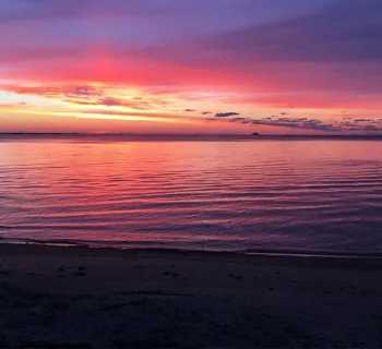 Beauty on the horizon Photo