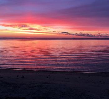 Beauty on the horizon Photo