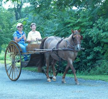 Peaceable Pastures Photo