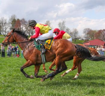 Hunt Cup Photo
