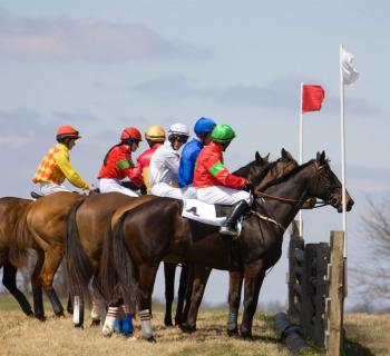 Elkridge Point to Point Photo