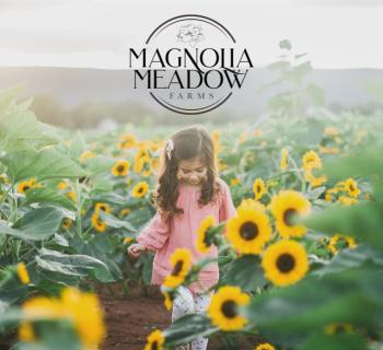 Visit our beautiful farm where we offer pick-your-own sunflowers, cut flowers, and pumpkins! Photo