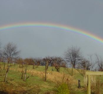 Rainbow over Deep Creek Cellars Photo