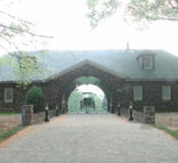 Horse carriage at Belair Stable Photo