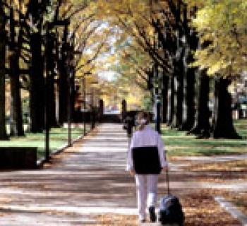 Student walking on tree lined path Photo