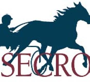 Rosecroft Raceway Photo