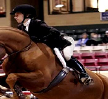 Prince Georges Co Equestrian Center and Show Place Area Photo