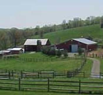 Above All Else at Windsong Photo