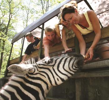 Catoctin Wildlife Preserve & Zoo Photo