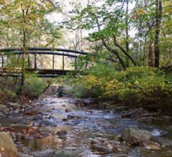 Campground trail at Cunningham Falls State Park Photo
