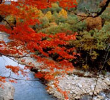 River Photo Photo