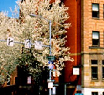 Biddle Street Inn Photo