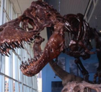 Maryland Science Center Photo
