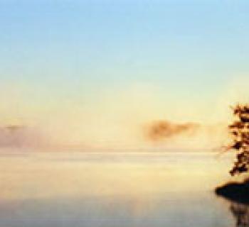 View of the water from the Cottage Photo