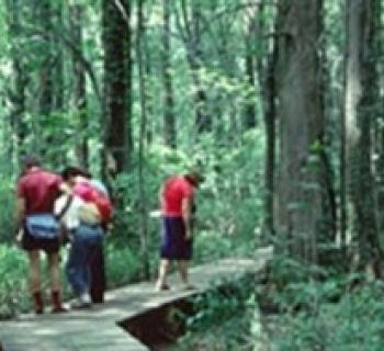People hiking Photo