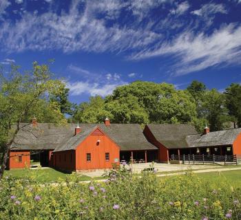 Jefferson Patterson Park  Photo