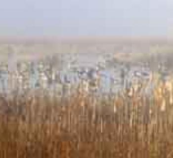 Pickering Creek Audubon Center Photo