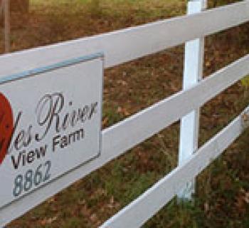 Miles River Guest House Photo