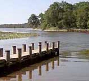 Martinak State Park Photo